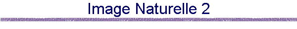 Image Naturelle 2